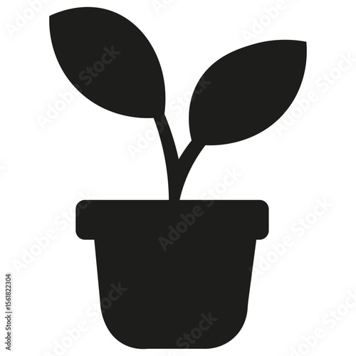 plant in pot