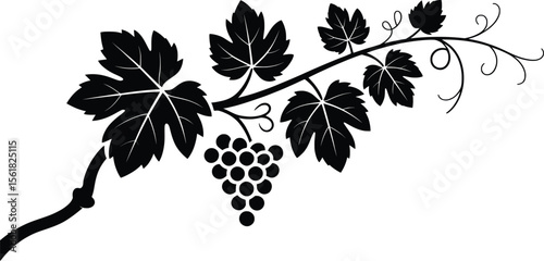 Grape Vine Silhouette Vector, Elegant Black and White Vineyard Illustration.