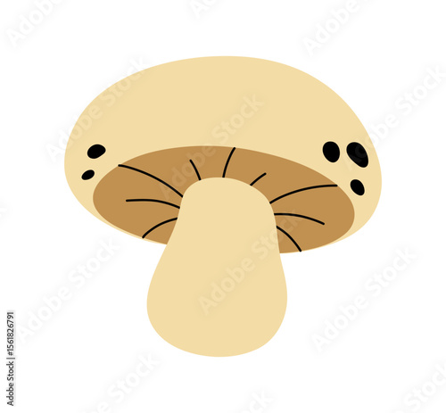 Champignon. Mushroom in flat style.