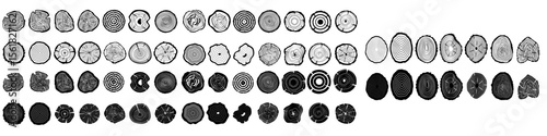 Wood Slice icon vector set. Wood Rings illustration sign collection. Tree symbol. Sawmill logo.