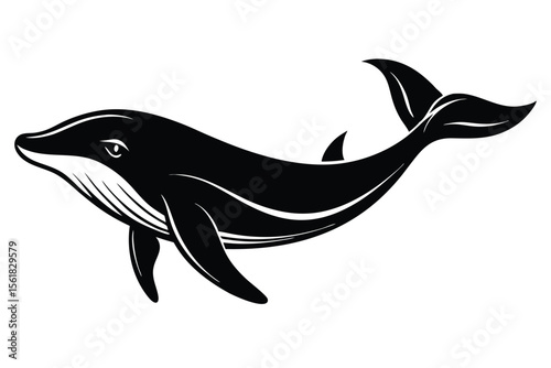Elegant black and white whale silhouette vector illustration with clean lines on white background