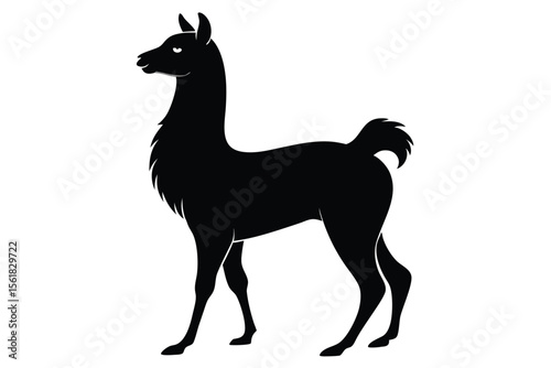 Elegant black llama silhouette standing proudly with smooth lines on a transparent background
