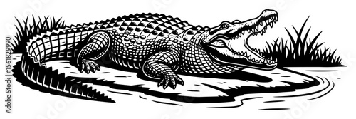 crocodile near river black and white vector