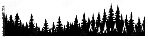 Photos Seamless panorama of dense pine-spruce treeline silhouette, versatile evergreen