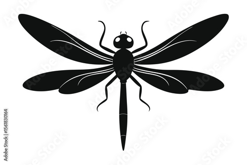 Elegant silhouette of a dragonfly with detailed wings on a white background for versatile graphic design applications