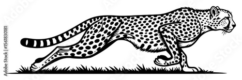 Sleek cheetah sprinting across savannah, dynamic high-speed wildlife black-and-white vector illustration