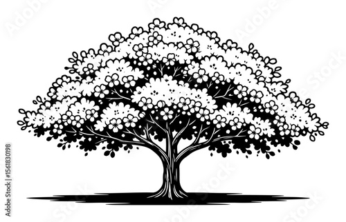 large oak tree vector in black and white