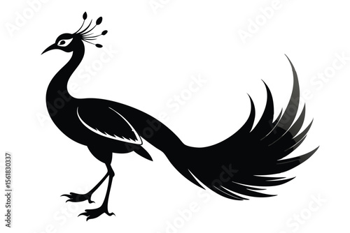 Elegant silhouette of a peacock displaying magnificent tail feathers in a graceful black and white vector design