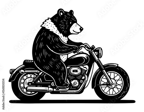 Cool bear on motorcycle vector engraving – anthropomorphic bear riding classic chopper bike