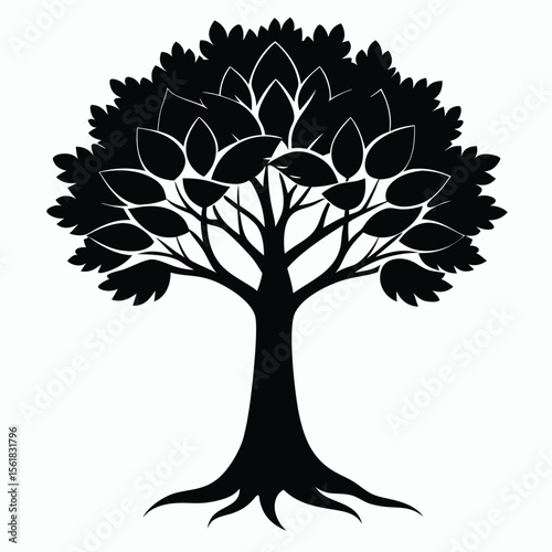 Silhouette of a mature tree with leafy branches on a white backdrop offering visual impact