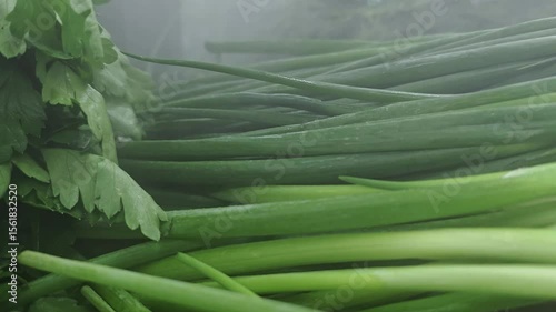 Fresh greens close-up on display in a refrigerated chamber