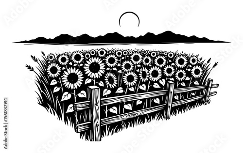 sunflower field at sunset with fence and mountains in black and white retro vector