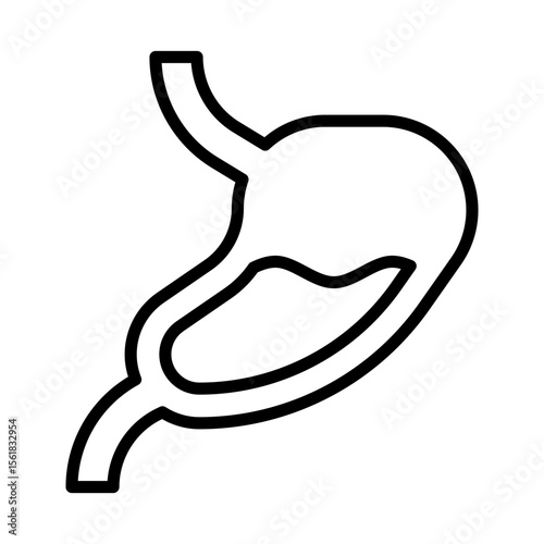 Stomach