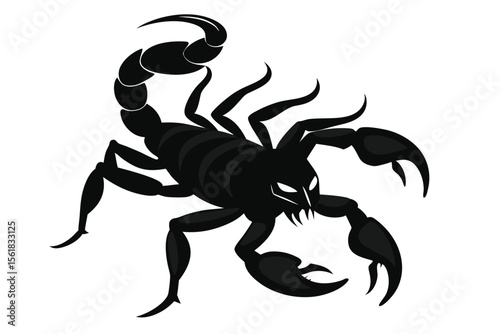 Striking black scorpion vector illustration on a white background with dramatic silhouette and claws
