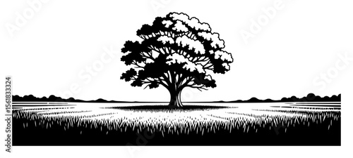 lone oak tree in wide open field, natural rural landscape captured in dramatic engraving style