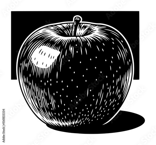 apple fruit engraving style vector