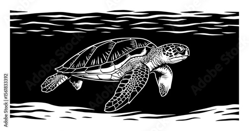 underwater sea turtle vector drawing