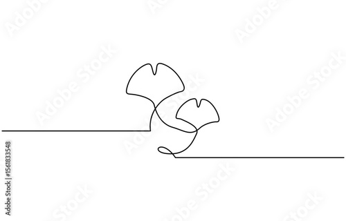 Ginkgo biloba Continuous one line drawing. Abstract botany minimalist poster, Ginkgo flower, Fresh ginkgo biloba green leaf continuous one line drawing, Ginkgo biloba.