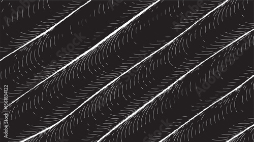 Black and white abstract feather pattern vector