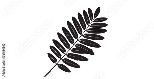 Detailed black and white fern leaf silhouette against a clean white background
