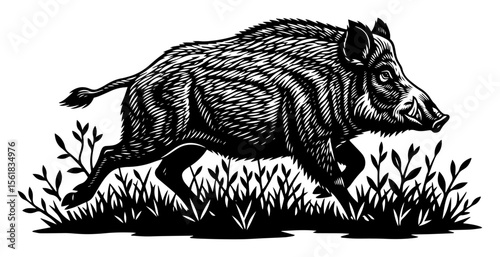 engraved black and white vector of a wild boar running through grass, vintage wildlife style