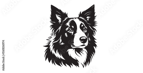 Quadro su tela Striking black and white portrait of a border collie dog head silhouette