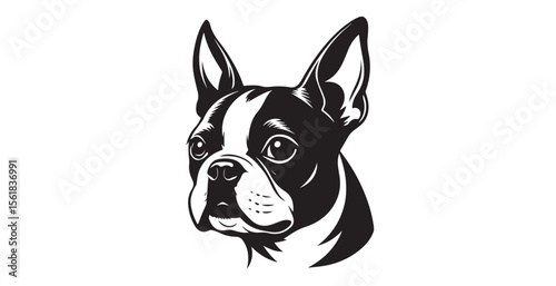 Bild auf Leinwand Stylized boston terrier dog head portrait silhouette