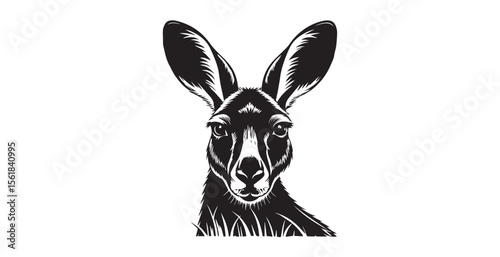 Close up portrait of a kangaroo head with large ears silhouette