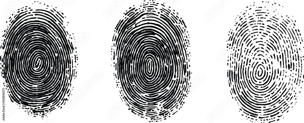 custom made wallpaper toronto digitalThree fingerprints with unique patterns. isolated transparent background. Set of three black fingerprint scans isolated on transparent background. Digital biometric security and identification concept