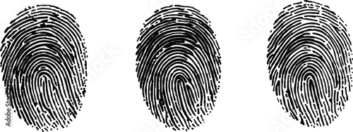 Three fingerprints with unique patterns. isolated transparent background. Set of three black fingerprint scans isolated on transparent background. Digital biometric security and identification concept