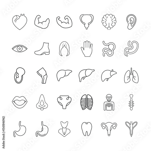 Human Body Organs and Health Icons Set. Featuring Heart, Brain, Lungs, Kidneys, Skeleton, and More for Medical and Healthcare, Vector Illustration Editable Stroke.