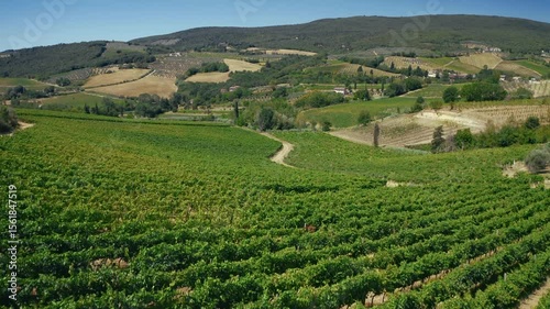 Panning over san gimignano vineyards in tuscany