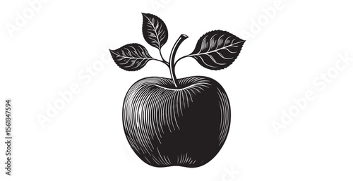 Detailed engraved apple with leaves silhouette illustration