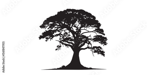 Majestic ancient tree with spreading branches in stark black silhouette