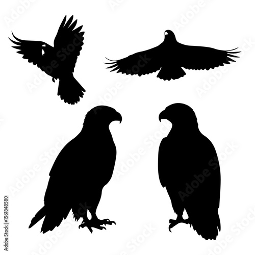 Eagle or hawk silhouette set. Vector icons of a bird of prey for freedom, power, and wildlife concepts.
