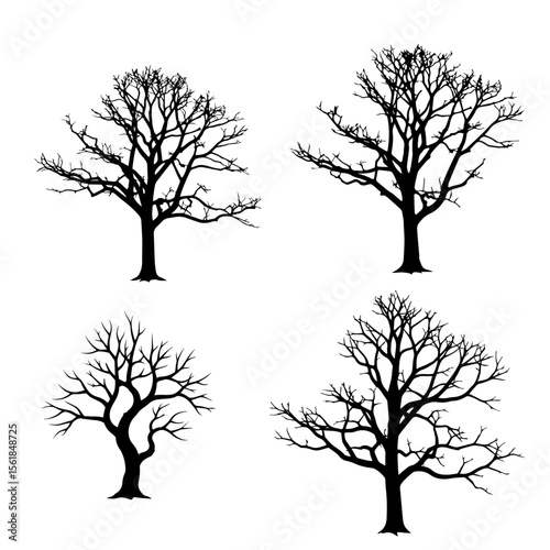 Bare winter tree silhouette set. Vector icons of deciduous trees without leaves for nature or seasonal concepts.
