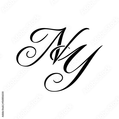 Elegant NY Monogram Logo in Black Script – Luxury Calligraphy Initial Design on White Background