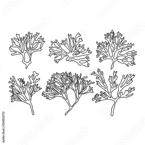 Abstract seaweed outlines