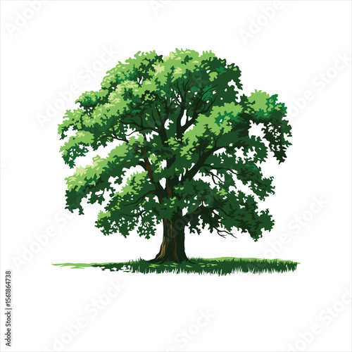 Tree in the grass yard vector illustration-detailed hand drawn in vector