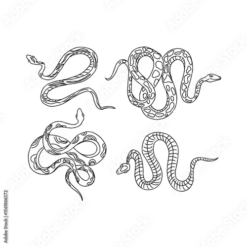 Four snakes in black line art
