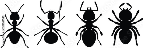 Different Ant Silhouettes – Vector Insect Shapes and Crawling Bug Icons Collection