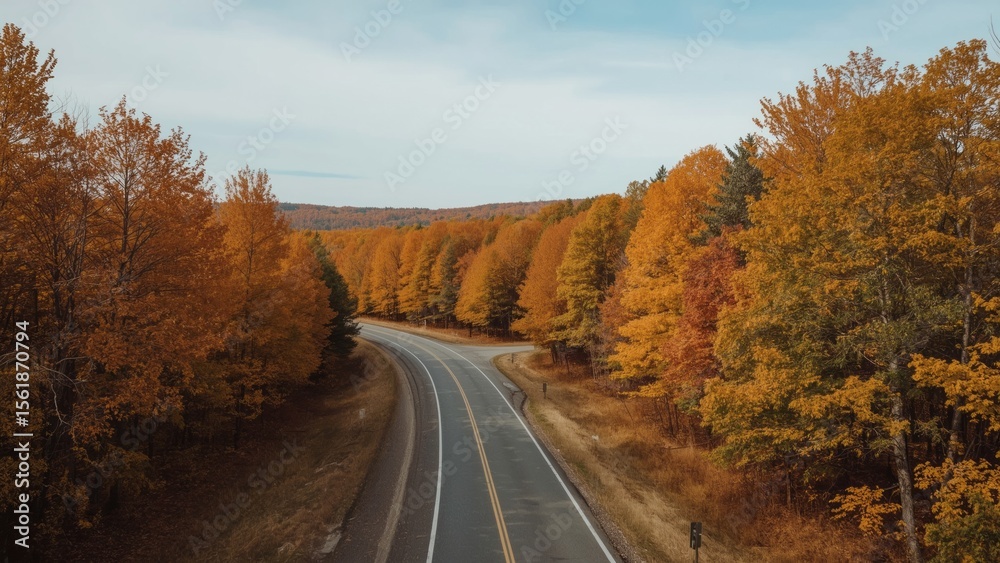 Fototapeta premium A serene and isolated aerial view of an empty road with autumn trees