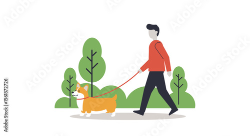 A man walking his corgi dog in a park on a sunny day.