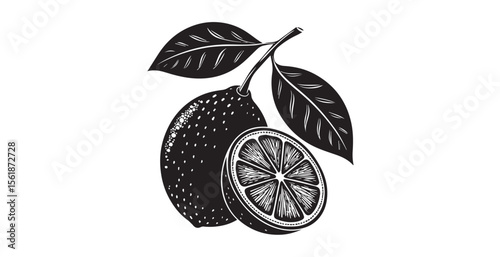 Fresh lemon slice and whole fruit with leaves silhouette