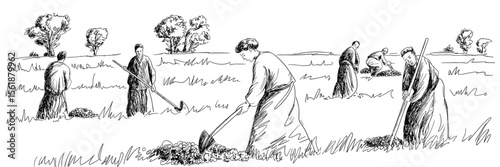 People working in field with hoes, vintage line art illustration, farming, agriculture