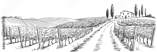 Vineyard sketch landscape, winery, wine production, countryside, architecture, agriculture, drawing
