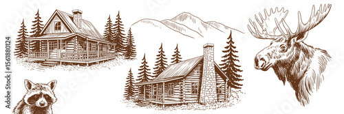 Cabin in the woods sketch, moose, raccoon, mountain illustration. Wildlife scene drawing