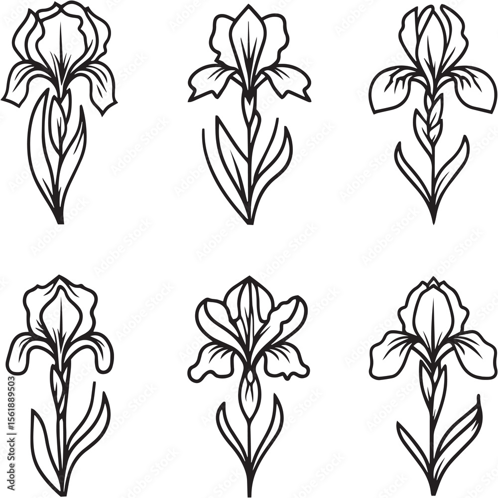 Obraz premium Iris Dutch or Bearded Black Line Editable Icons