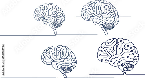 Human Brain Illustration