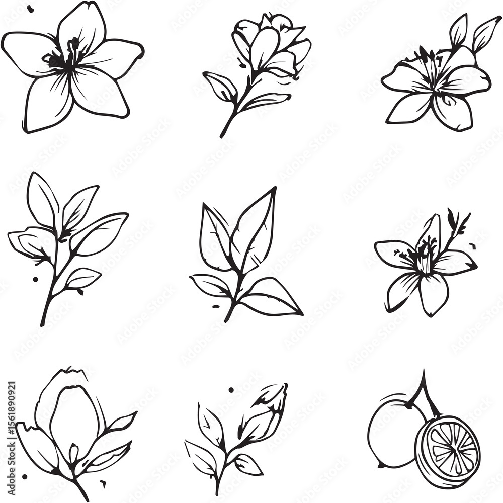 Obraz premium Jasmine Black Line Editable Icons set